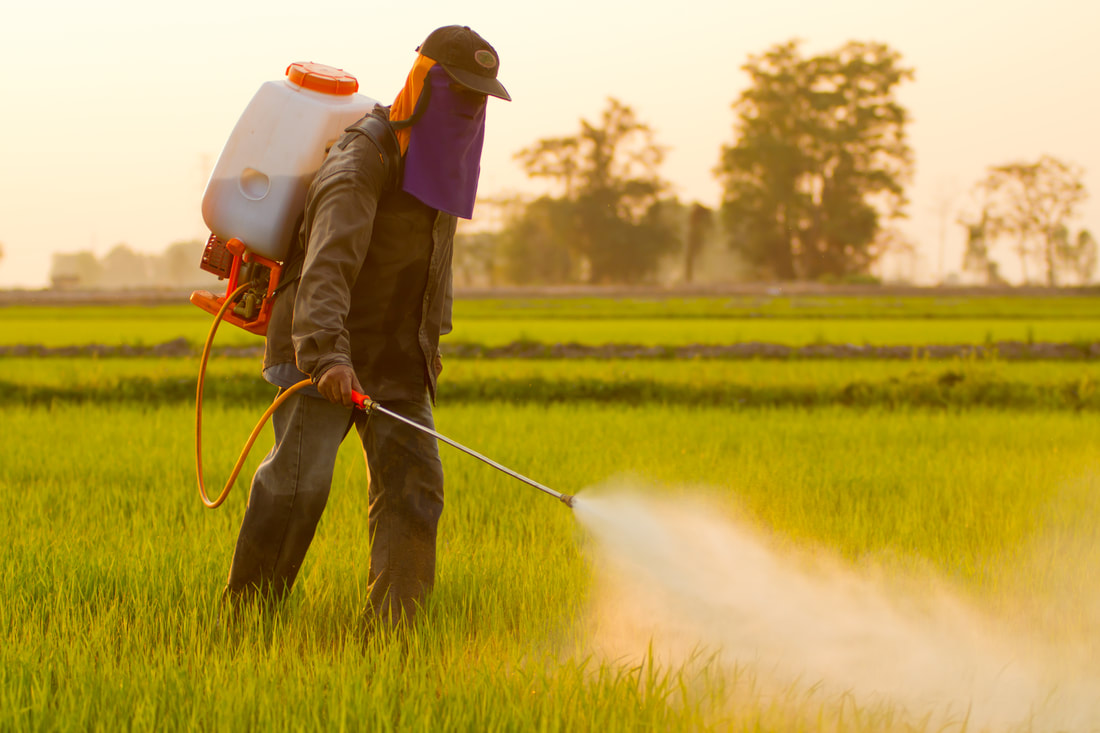 Farmer Spraying Pesticides