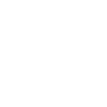 Save the Bees Twitter